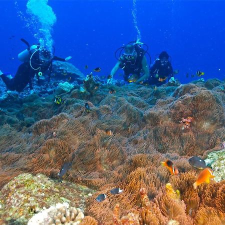 Reef Resort Vava'U Utungake Eksteriør bilde
