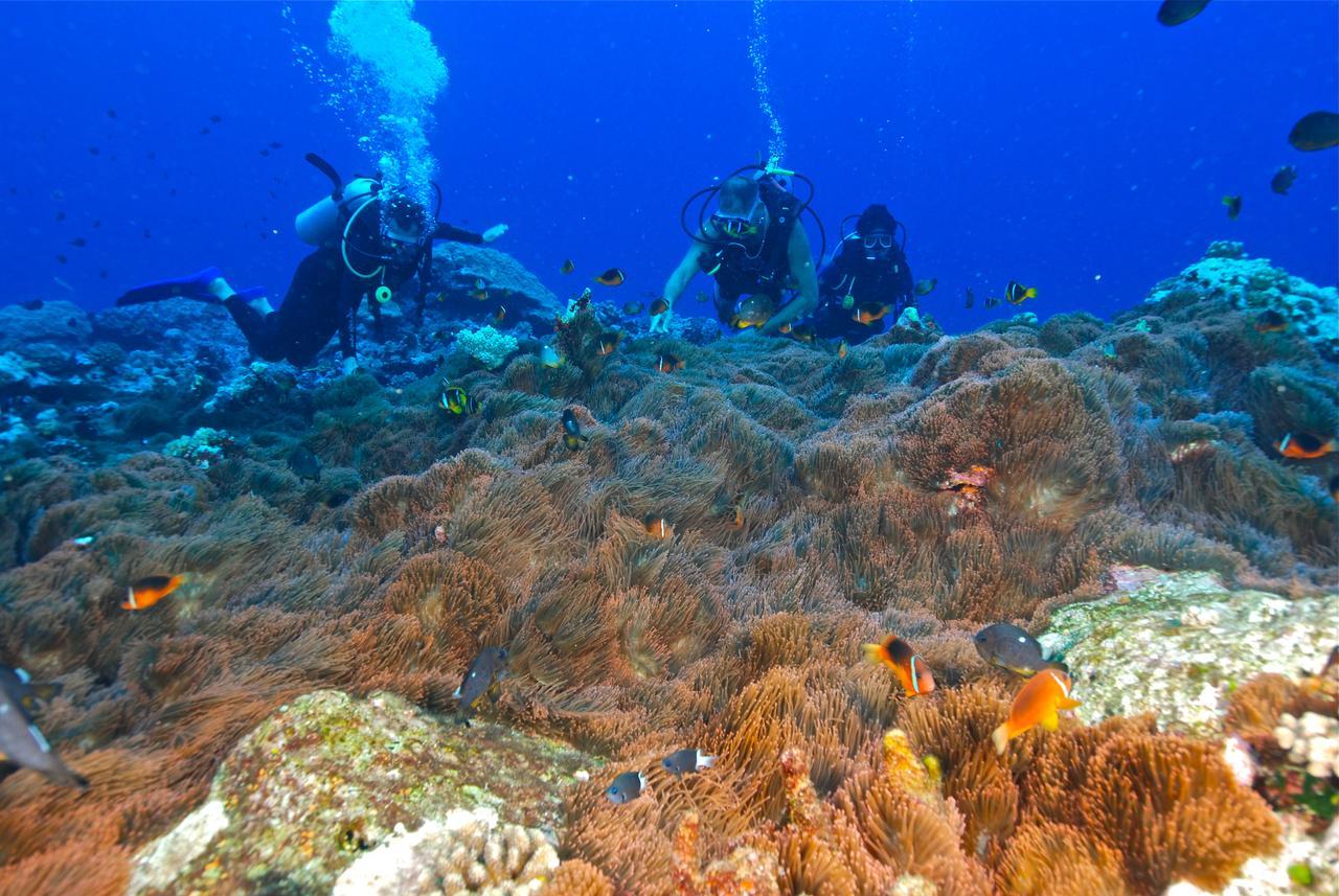 Reef Resort Vava'U Utungake Eksteriør bilde